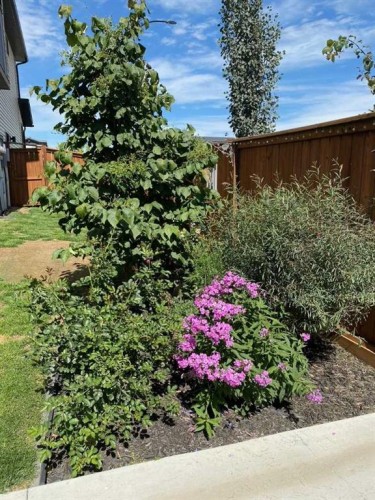 91 Wolf Hollow Park Se, Calgary, AB - Outdoor