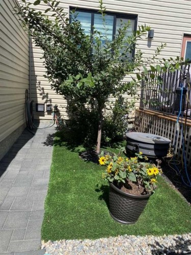 91 Wolf Hollow Park Se, Calgary, AB - Outdoor