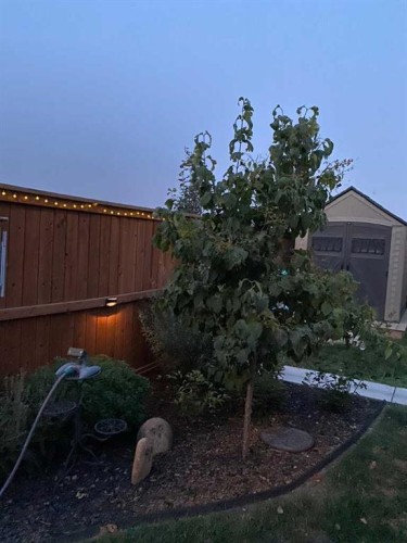 91 Wolf Hollow Park Se, Calgary, AB - Outdoor