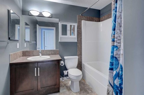 173 New Brighton Point Se, Calgary, AB - Indoor Photo Showing Bathroom