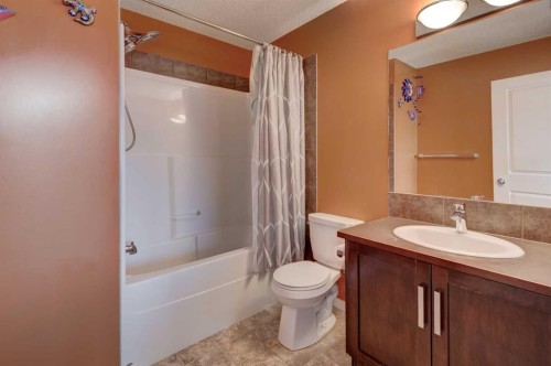 173 New Brighton Point Se, Calgary, AB - Indoor Photo Showing Bathroom
