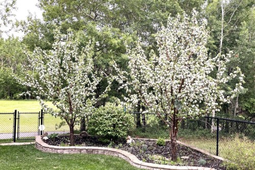 66 Tuscany Reserve Gate Nw, Calgary, AB - Outdoor