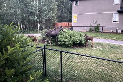 66 Tuscany Reserve Gate Nw, Calgary, AB - Outdoor