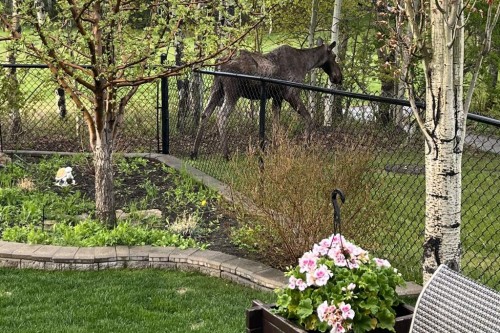 66 Tuscany Reserve Gate Nw, Calgary, AB - Outdoor