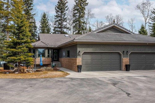 94 Sunset Way, Priddis Greens, AB - Outdoor
