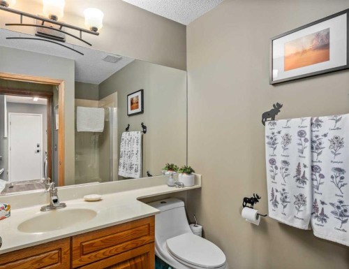 94 Sunset Way, Priddis Greens, AB - Indoor Photo Showing Bathroom