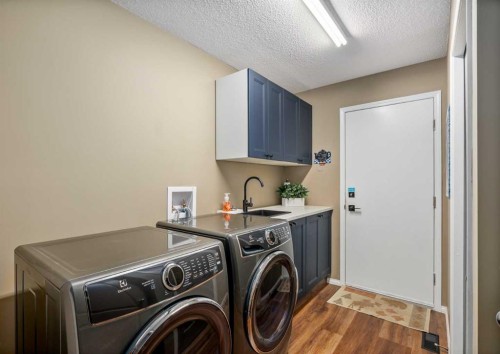 94 Sunset Way, Priddis Greens, AB - Indoor Photo Showing Laundry Room