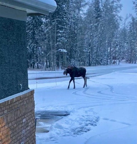 94 Sunset Way, Priddis Greens, AB - Outdoor With View