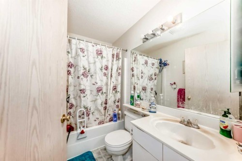 193 Somerset Drive Sw, Calgary, AB - Indoor Photo Showing Bathroom