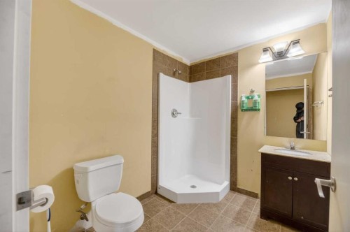 30338 Range Road 282, Rural Mountain View County, AB - Indoor Photo Showing Bathroom