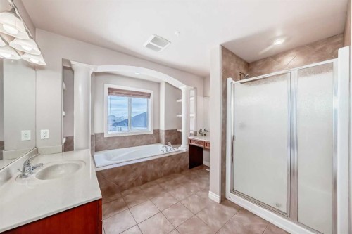 36 Saddleland Court Ne, Calgary, AB - Indoor Photo Showing Bathroom