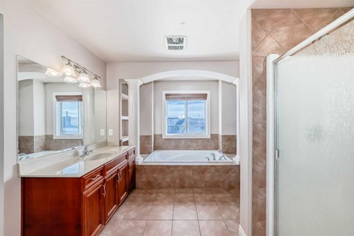 36 Saddleland Court Ne, Calgary, AB - Indoor Photo Showing Bathroom