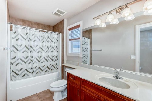 36 Saddleland Court Ne, Calgary, AB - Indoor Photo Showing Bathroom