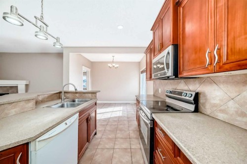 36 Saddleland Court Ne, Calgary, AB - Indoor Photo Showing Kitchen With Double Sink