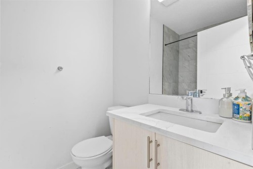 13 Martindale Boulevard Ne, Calgary, AB - Indoor Photo Showing Bathroom