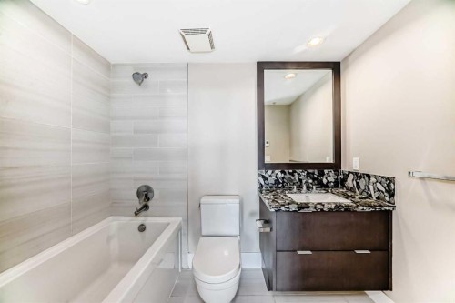 204-560 6 Avenue Se, Calgary, AB - Indoor Photo Showing Bathroom