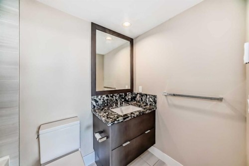 204-560 6 Avenue Se, Calgary, AB - Indoor Photo Showing Bathroom