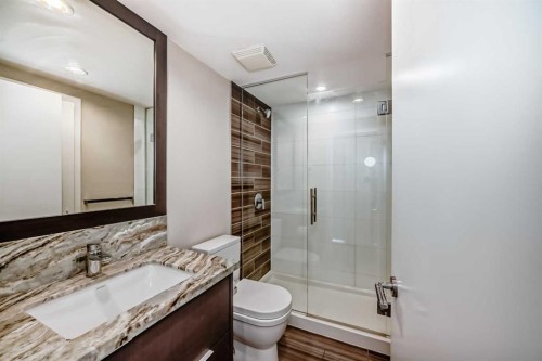 204-560 6 Avenue Se, Calgary, AB - Indoor Photo Showing Bathroom