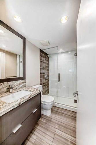 204-560 6 Avenue Se, Calgary, AB - Indoor Photo Showing Bathroom