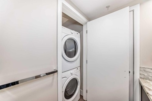 204-560 6 Avenue Se, Calgary, AB - Indoor Photo Showing Laundry Room