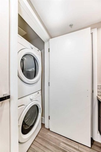 204-560 6 Avenue Se, Calgary, AB - Indoor Photo Showing Laundry Room
