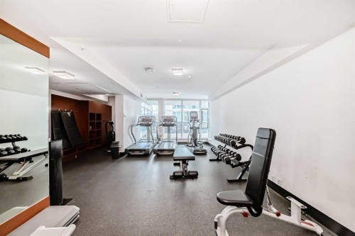 204-560 6 Avenue Se, Calgary, AB - Indoor Photo Showing Gym Room