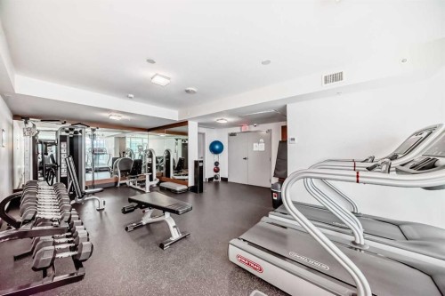 204-560 6 Avenue Se, Calgary, AB - Indoor Photo Showing Gym Room