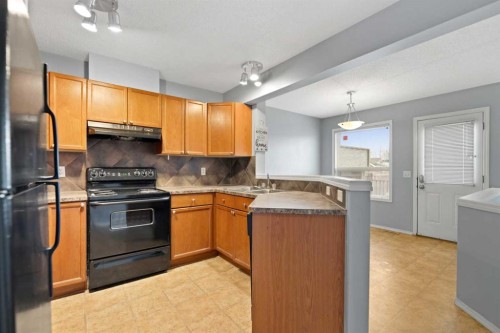 116 Saddlebrook Common Ne, Calgary, AB - Indoor Photo Showing Kitchen With Double Sink