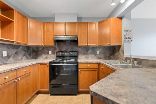 116 Saddlebrook Common Ne, Calgary, AB - Indoor Photo Showing Kitchen With Double Sink