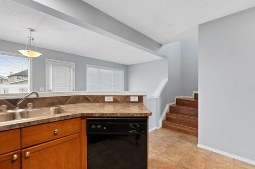 116 Saddlebrook Common Ne, Calgary, AB - Indoor Photo Showing Kitchen With Double Sink