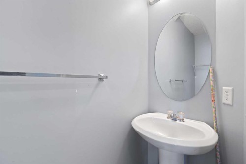 116 Saddlebrook Common Ne, Calgary, AB - Indoor Photo Showing Bathroom