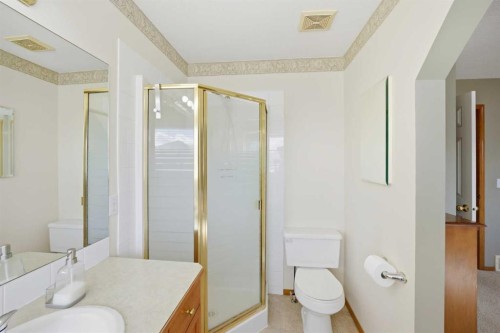 39 Saddlemont Close Ne, Calgary, AB - Indoor Photo Showing Bathroom