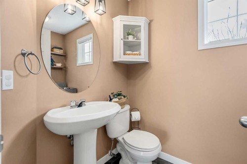 53 Copperfield Court Se, Calgary, AB - Indoor Photo Showing Bathroom