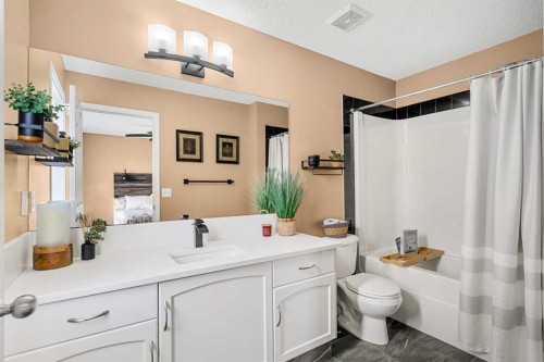 53 Copperfield Court Se, Calgary, AB - Indoor Photo Showing Bathroom