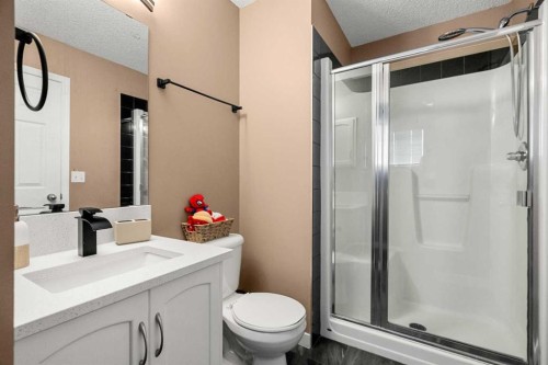 53 Copperfield Court Se, Calgary, AB - Indoor Photo Showing Bathroom