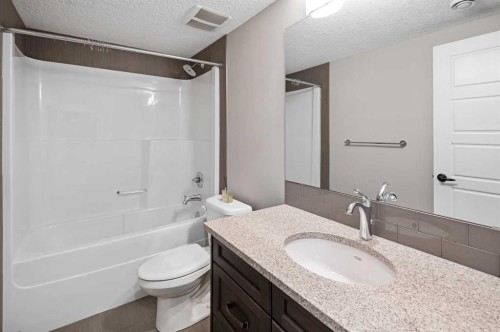 45 Rockcliff Heights Nw, Calgary, AB - Indoor Photo Showing Bathroom