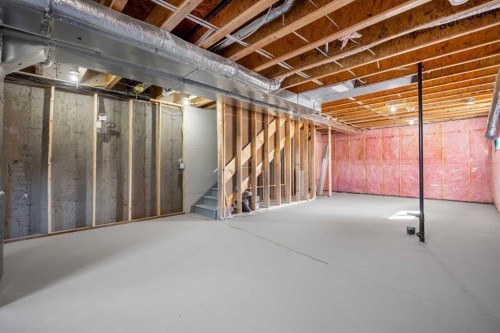213 Bridgeport Gate, Chestermere, AB - Indoor Photo Showing Basement
