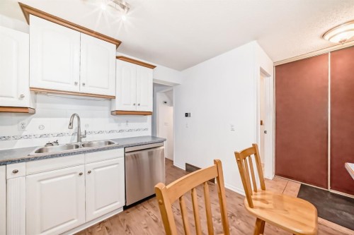 255 Falshire Way Ne, Calgary, AB - Indoor Photo Showing Kitchen With Double Sink