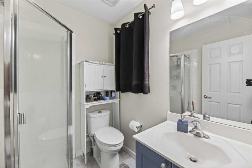 8474 Saddleridge Drive Ne, Calgary, AB - Indoor Photo Showing Bathroom