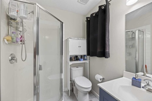 8474 Saddleridge Drive Ne, Calgary, AB - Indoor Photo Showing Bathroom