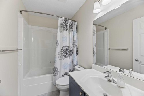 8474 Saddleridge Drive Ne, Calgary, AB - Indoor Photo Showing Bathroom