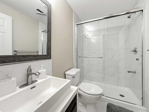 8474 Saddleridge Drive Ne, Calgary, AB - Indoor Photo Showing Bathroom