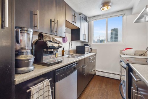 408-505 19 Avenue Sw, Calgary, AB - Indoor Photo Showing Kitchen With Double Sink