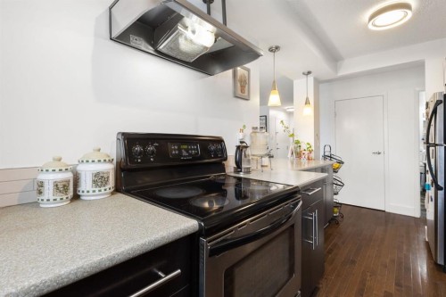 408-505 19 Avenue Sw, Calgary, AB - Indoor Photo Showing Kitchen