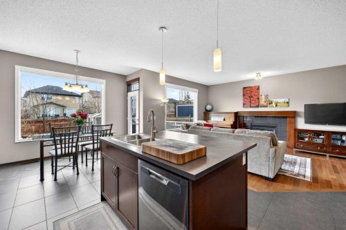 72 Auburn Bay Avenue Se, Calgary, AB - Indoor Photo Showing Kitchen With Fireplace With Double Sink