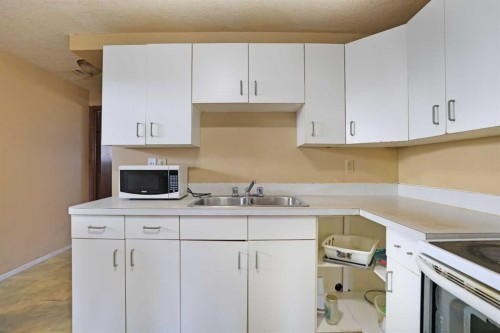 184 Upland Boulevard West, Brooks, AB - Indoor Photo Showing Kitchen With Double Sink