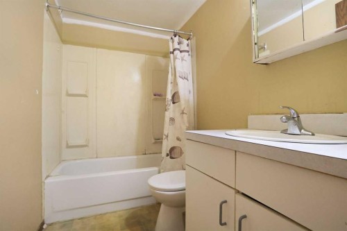 184 Upland Boulevard West, Brooks, AB - Indoor Photo Showing Bathroom