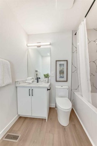 29-2519 38 Street Ne, Calgary, AB - Indoor Photo Showing Bathroom