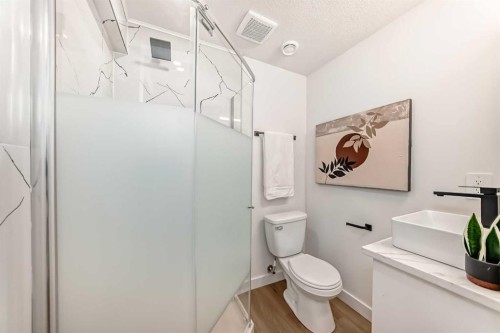 29-2519 38 Street Ne, Calgary, AB - Indoor Photo Showing Bathroom