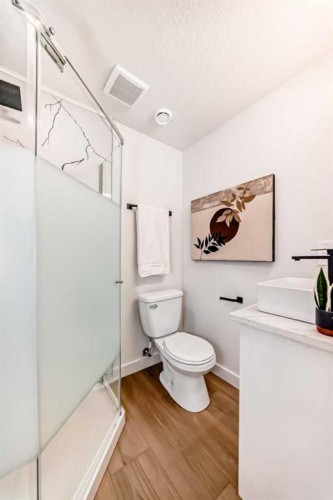 29-2519 38 Street Ne, Calgary, AB - Indoor Photo Showing Bathroom